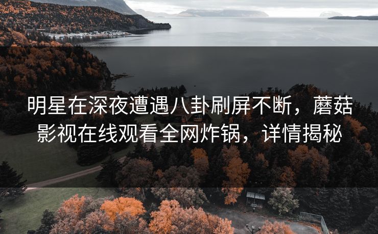 明星在深夜遭遇八卦刷屏不断，蘑菇影视在线观看全网炸锅，详情揭秘  第1张