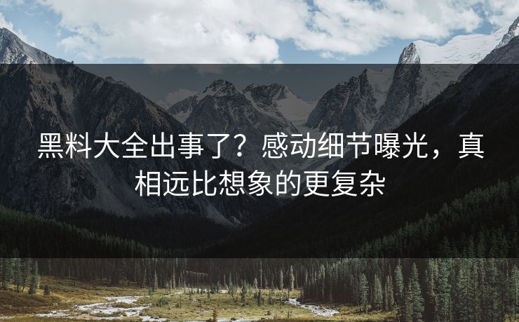 黑料大全出事了？感动细节曝光，真相远比想象的更复杂