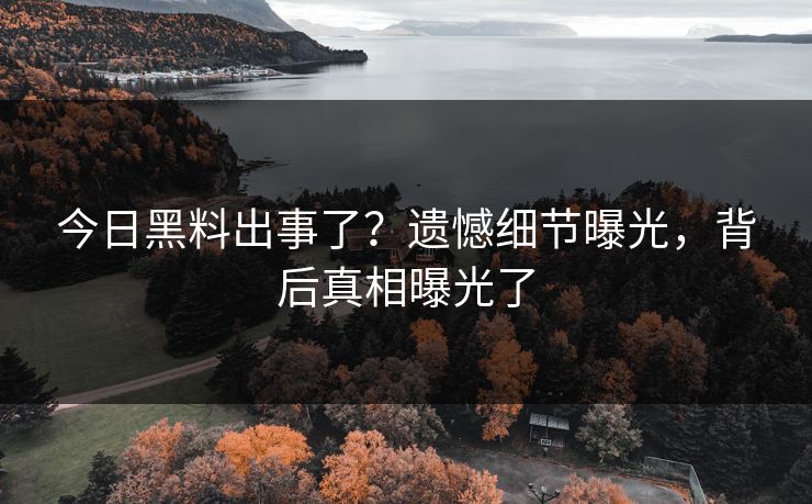 今日黑料出事了？遗憾细节曝光，背后真相曝光了