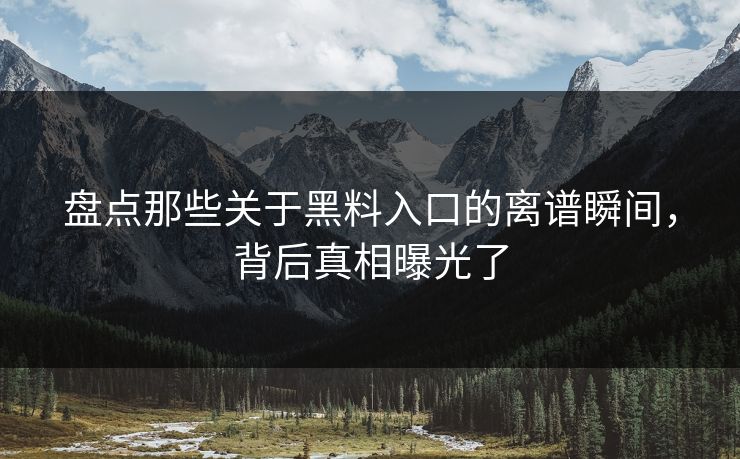 盘点那些关于黑料入口的离谱瞬间，背后真相曝光了  第1张