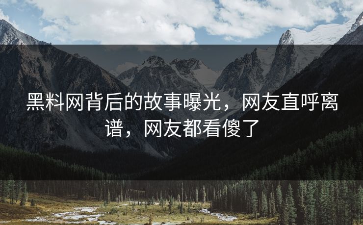 黑料网背后的故事曝光，网友直呼离谱，网友都看傻了
