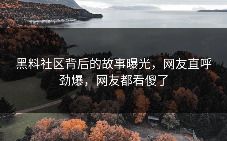 黑料社区背后的故事曝光，网友直呼劲爆，网友都看傻了  第1张