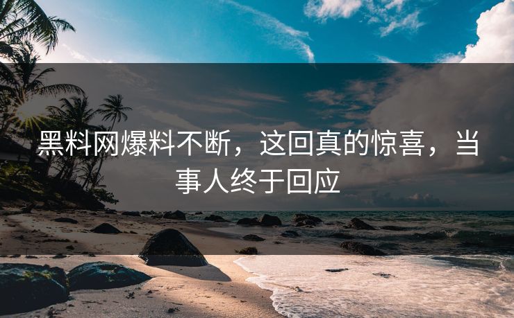 黑料网爆料不断，这回真的惊喜，当事人终于回应  第1张