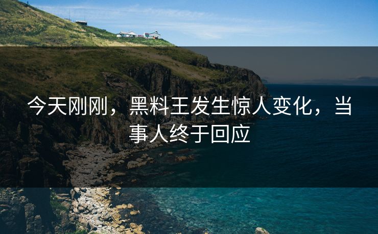 今天刚刚，黑料王发生惊人变化，当事人终于回应