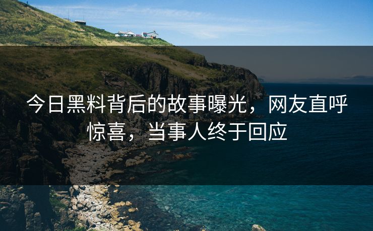 今日黑料背后的故事曝光，网友直呼惊喜，当事人终于回应  第1张