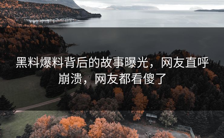 黑料爆料背后的故事曝光，网友直呼崩溃，网友都看傻了  第1张