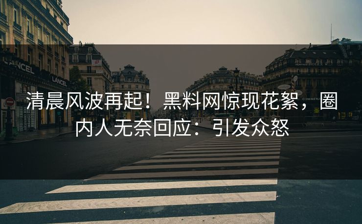 清晨风波再起！黑料网惊现花絮，圈内人无奈回应：引发众怒