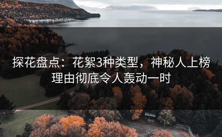探花盘点：花絮3种类型，神秘人上榜理由彻底令人轰动一时