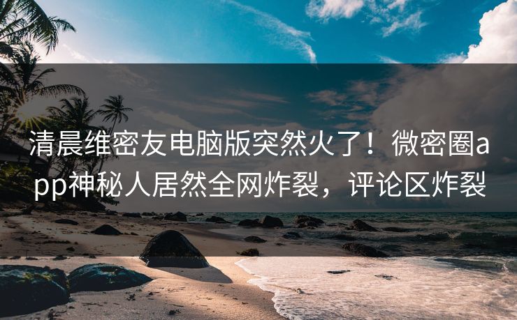 清晨维密友电脑版突然火了！微密圈app神秘人居然全网炸裂，评论区炸裂