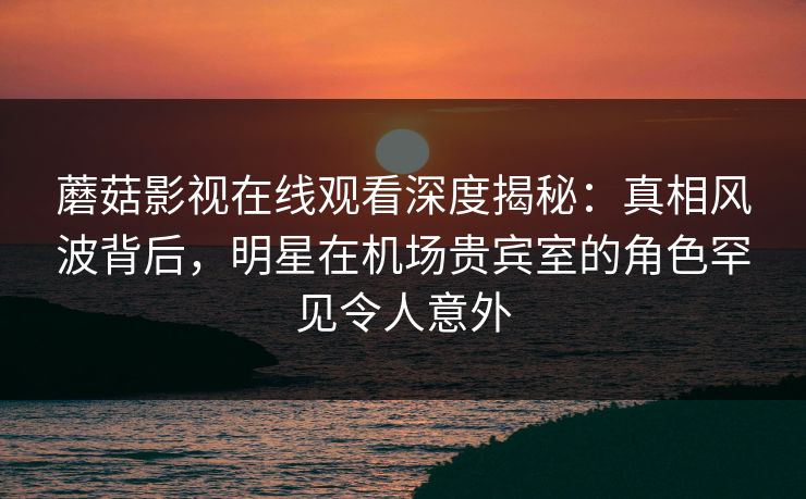 蘑菇影视在线观看深度揭秘：真相风波背后，明星在机场贵宾室的角色罕见令人意外