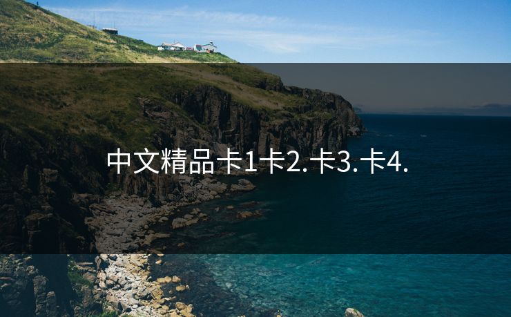 中文精品卡1卡2.卡3.卡4.